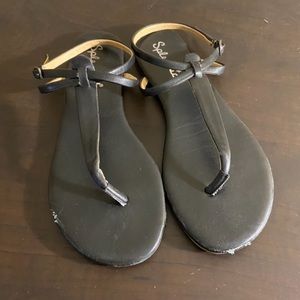 Splendid Flipflops - lightly worn